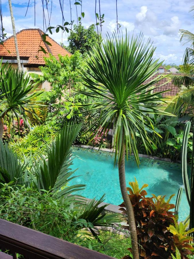 Buda Amitaba Ubud  Exterior photo